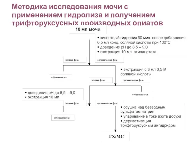 Методика исследования мочи с применением гидролиза и получением трифторуксусных производных опиатов