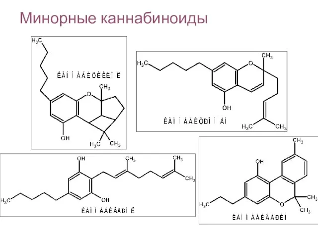 Минорные каннабиноиды