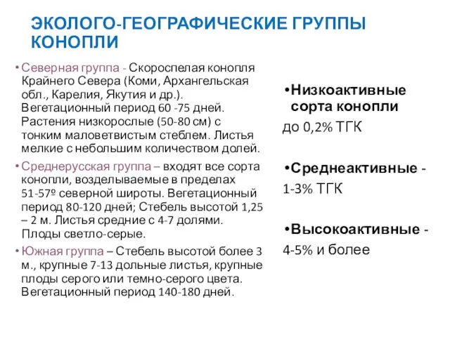 ЭКОЛОГО-ГЕОГРАФИЧЕСКИЕ ГРУППЫ КОНОПЛИ Северная группа - Скороспелая конопля Крайнего Севера (Коми,