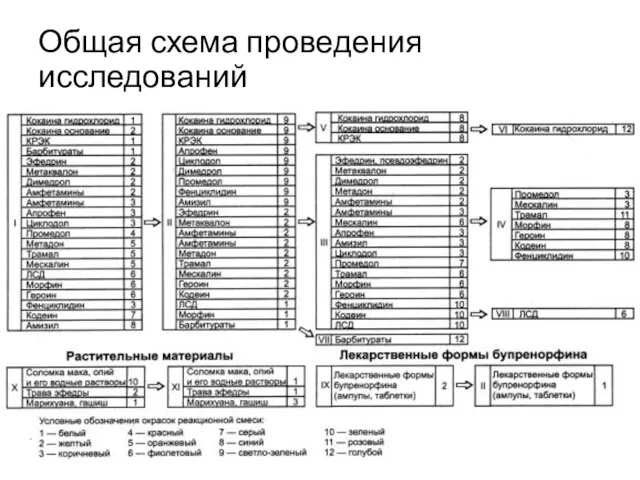 Общая схема проведения исследований