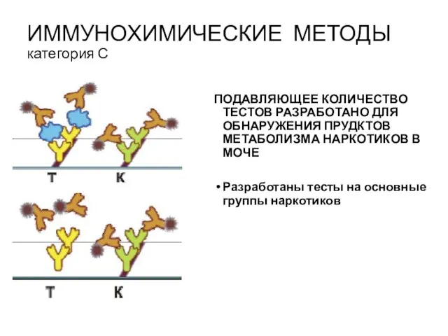 ИММУНОХИМИЧЕСКИЕ МЕТОДЫ категория С ПОДАВЛЯЮЩЕЕ КОЛИЧЕСТВО ТЕСТОВ РАЗРАБОТАНО ДЛЯ ОБНАРУЖЕНИЯ ПРУДКТОВ