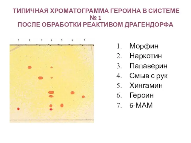 ТИПИЧНАЯ ХРОМАТОГРАММА ГЕРОИНА В СИСТЕМЕ № 1 ПОСЛЕ ОБРАБОТКИ РЕАКТИВОМ ДРАГЕНДОРФА