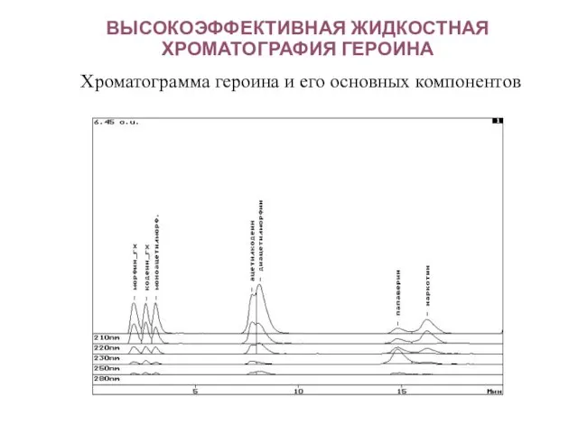 ВЫСОКОЭФФЕКТИВНАЯ ЖИДКОСТНАЯ ХРОМАТОГРАФИЯ ГЕРОИНА Хроматограмма героина и его основных компонентов