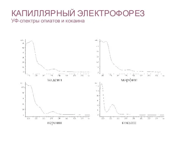 КАПИЛЛЯРНЫЙ ЭЛЕКТРОФОРЕЗ УФ-спектры опиатов и кокаина