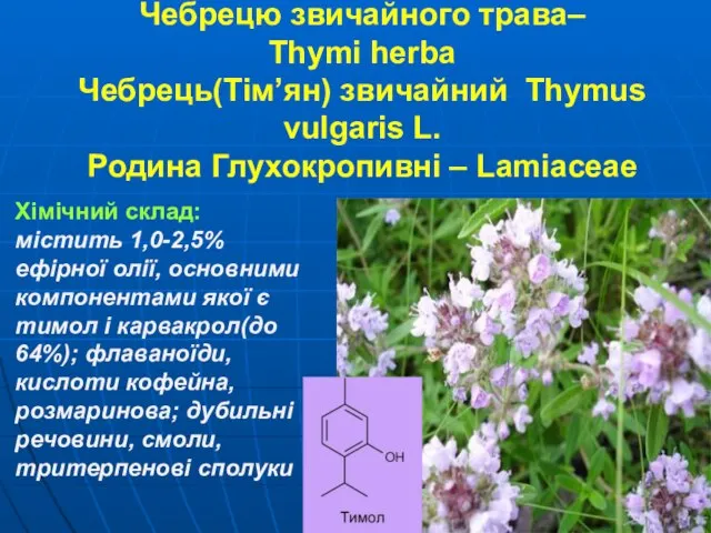 Чебрецю звичайного трава– Thymi herba Чебрець(Тім’ян) звичайний Thymus vulgaris L. Родина