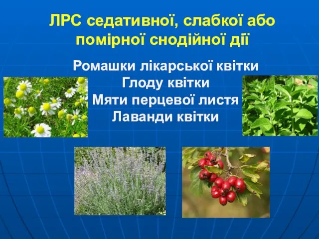 ЛРС седативної, слабкої або помірної снодійної дії Ромашки лікарської квітки Глоду