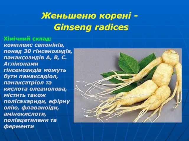 Женьшеню корені - Ginseng radices Хімічний склад:комплекс сапонінів, понад 30 гінсенозидів,