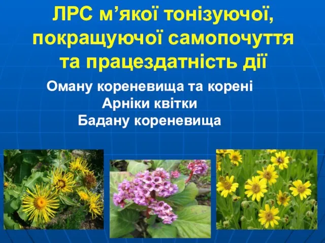 ЛРС м’якої тонізуючої, покращуючої самопочуття та працездатність дії Оману кореневища та корені Арніки квітки Бадану кореневища