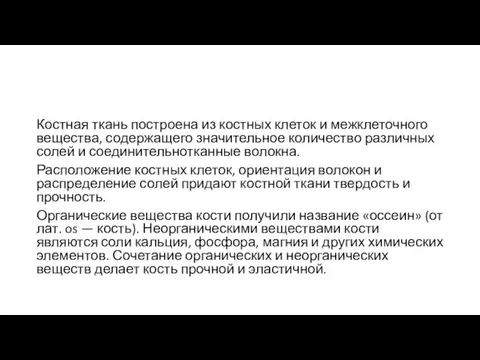 Костная ткань построена из костных клеток и межклеточного вещества, содержащего значительное