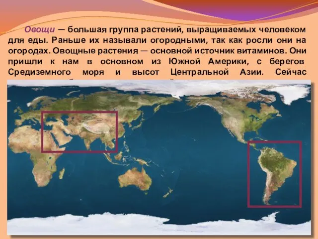 Овощи — большая группа растений, выращиваемых человеком для еды. Раньше их