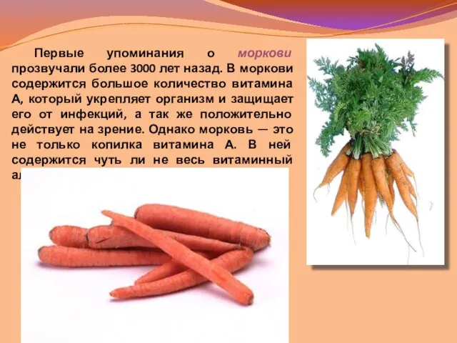 Первые упоминания о моркови прозвучали более 3000 лет назад. В моркови