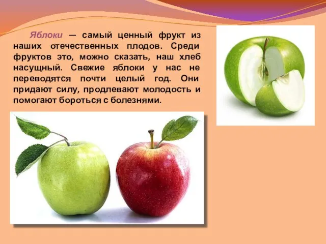 Яблоки — самый ценный фрукт из наших отечественных плодов. Среди фруктов