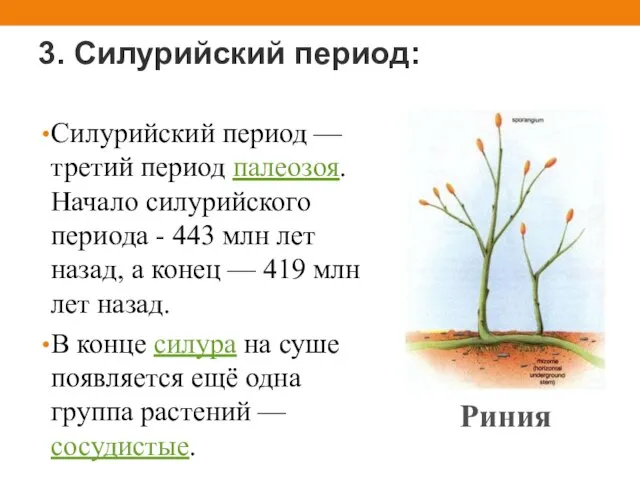 3. Силурийский период: Силурийский период — третий период палеозоя. Начало силурийского