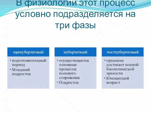 В физиологии этот процесс условно подразделяется на три фазы