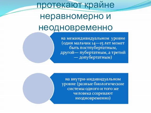 процессы созревания протекают крайне неравномерно и неодновременно