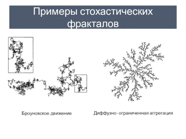 Примеры стохастических фракталов Броуновское движение Диффузно-ограниченная аггрегация