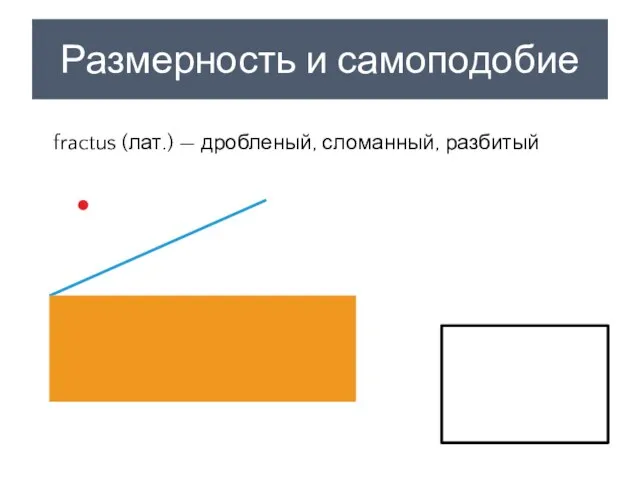 Размерность и самоподобие fractus (лат.) — дробленый, сломанный, разбитый