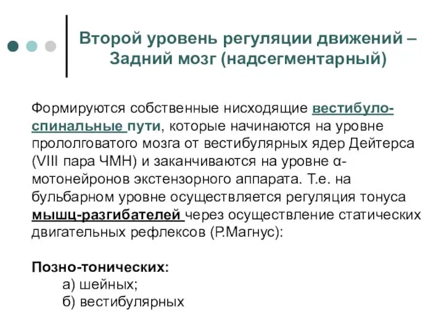 Формируются собственные нисходящие вестибуло-спинальные пути, которые начинаются на уровне прололговатого мозга