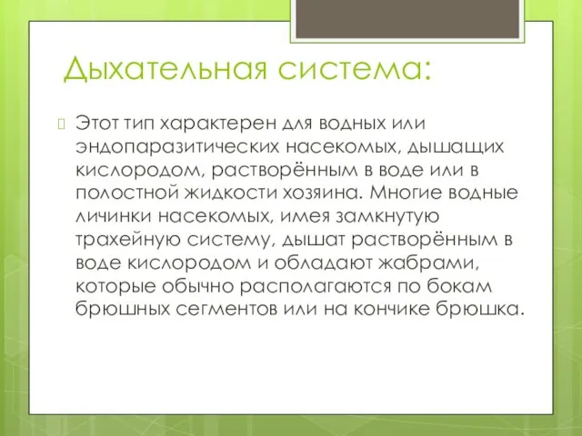 Дыхательная система: Этот тип характерен для водных или эндопаразитических насекомых, дышащих