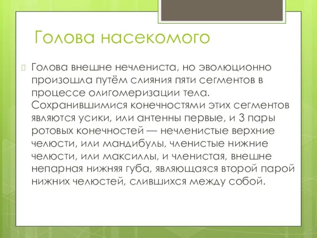 Голова насекомого Голова внешне нечлениста, но эволюционно произошла путём слияния пяти