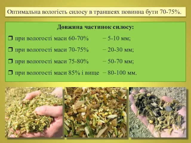 Довжина частинок силосу: ❒ при вологості маси 60-70% − 5-10 мм;