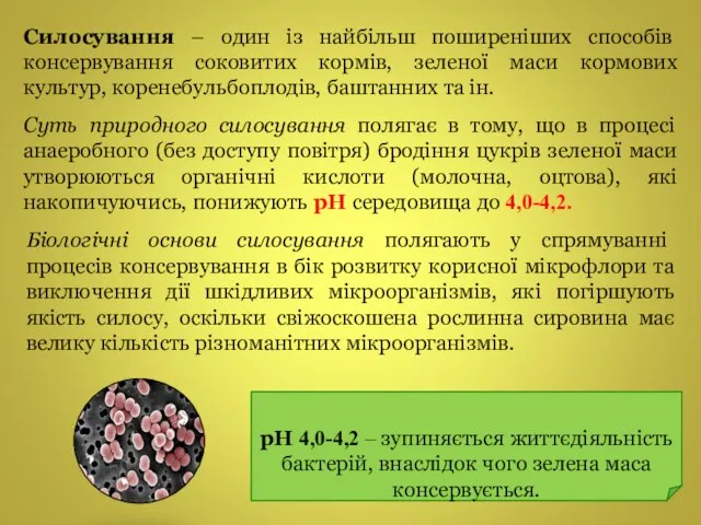 Силосування – один із найбільш поширеніших способів консервування соковитих кормів, зеленої