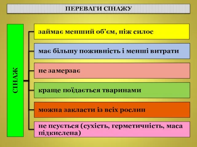 ПЕРЕВАГИ СІНАЖУ