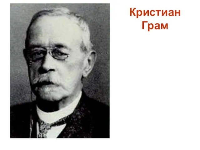 Кристиан Грам