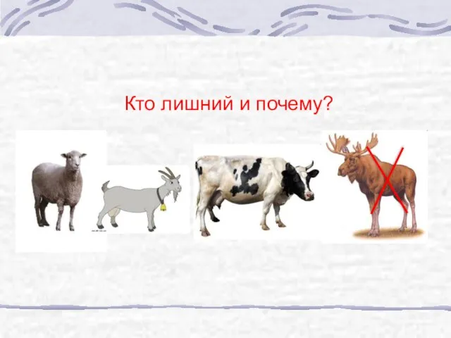 Кто лишний и почему?