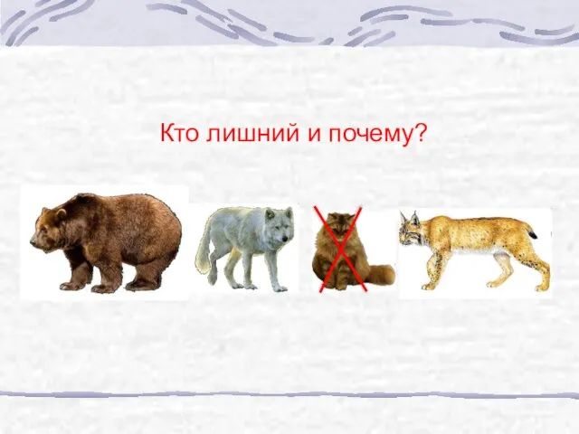 Кто лишний и почему?