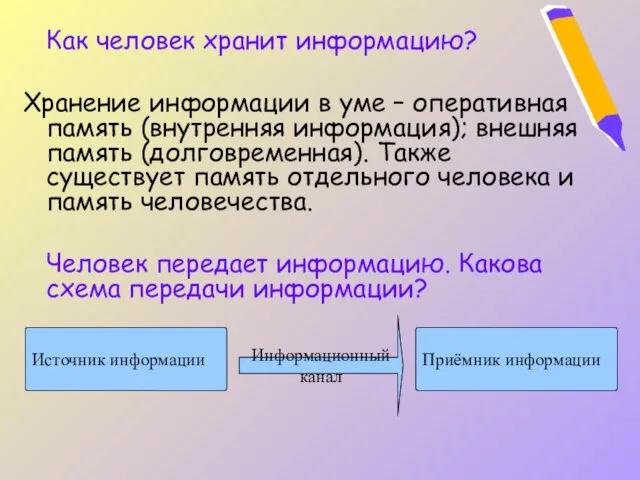 Как человек хранит информацию? Хранение информации в уме – оперативная память