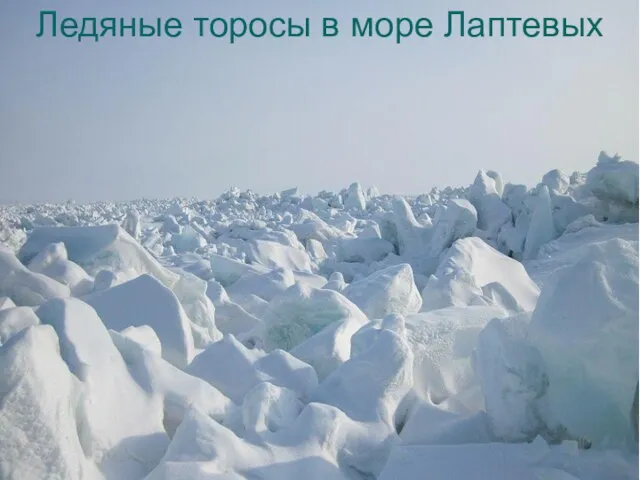 Ледяные торосы в море Лаптевых