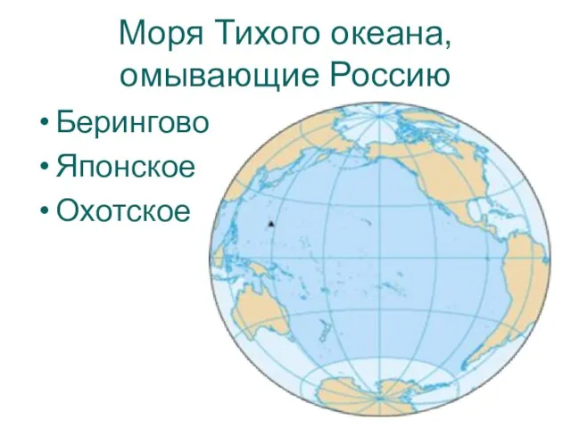 Моря Тихого океана, омывающие Россию Берингово Японское Охотское