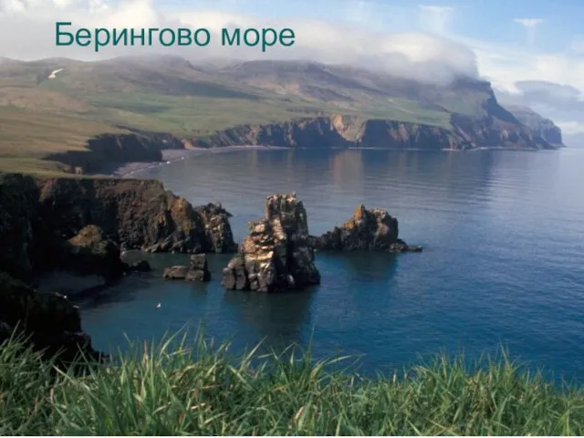 Берингово море