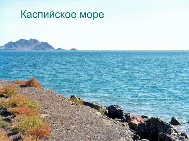 Каспийское море