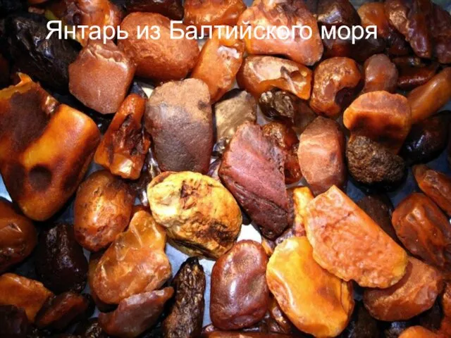 Янтарь из Балтийского моря