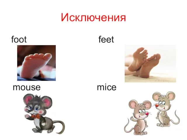 Исключения foot feet mouse mice