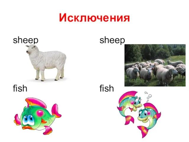 Исключения sheep sheep fish fish