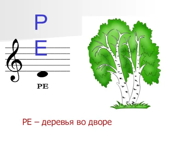 _________________________________________________________________________________________________________ РЕ РЕ – деревья во дворе РЕ