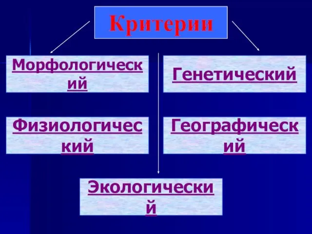 Критерии Физиологический Географический Экологический Генетический Морфологический