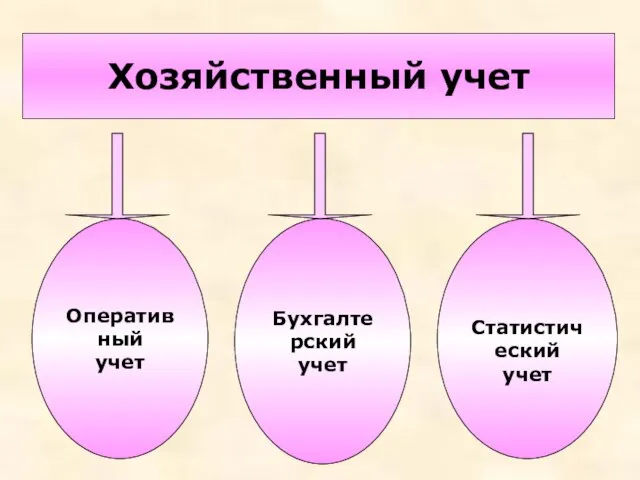 Хозяйственный учет Оперативный учет Бухгалтерский учет Статистический учет