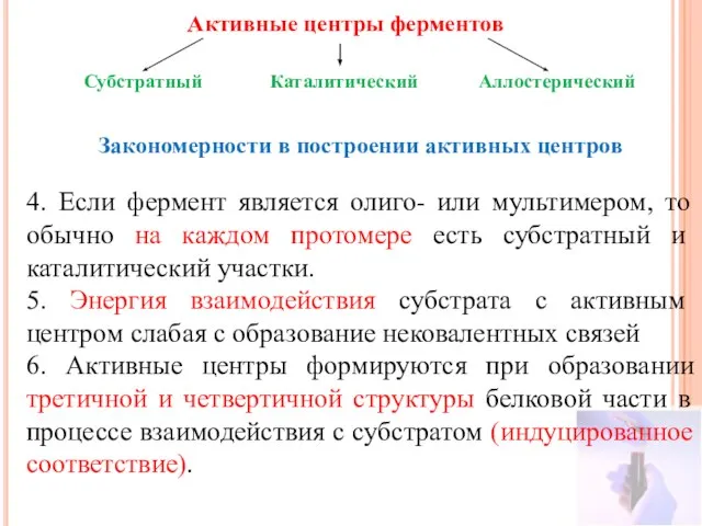 Активные центры ферментов Субстратный Каталитический Аллостерический Закономерности в построении активных центров