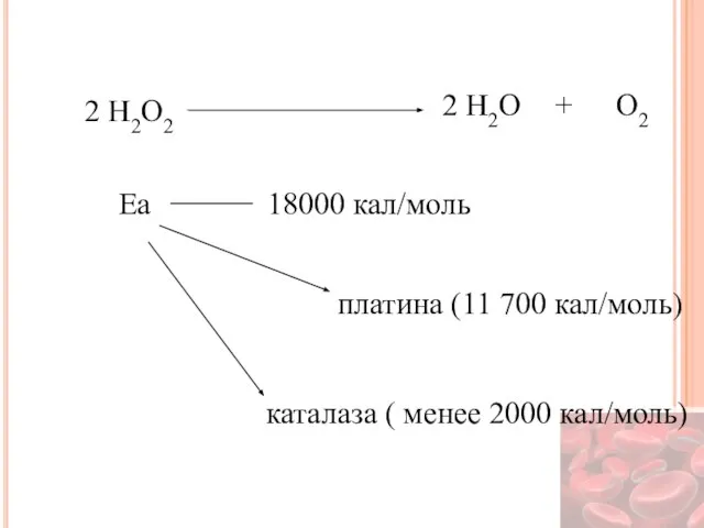 2 H2O2 2 H2O O2 + Еа 18000 кал/моль платина (11