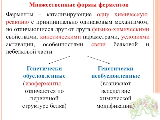 Множественные формы ферментов Ферменты – катализирующие одну химическую реакцию с принципиально