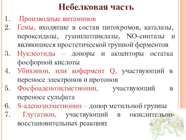 Небелковая часть Производные витаминов Гемы, входящие в состав цитохромов, каталазы, пероксидазы,