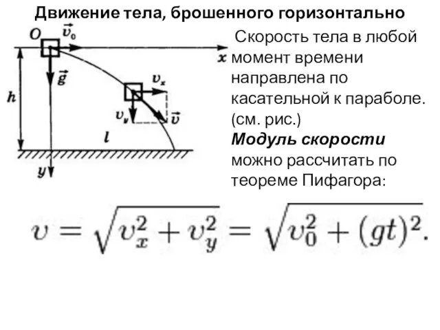 Движение тела, брошенного горизонтально Скорость тела в любой момент времени направлена