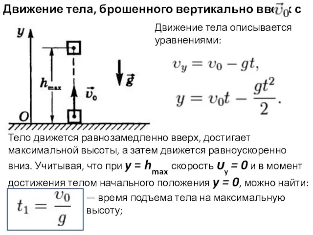 Движение тела, брошенного вертикально вверх с Движение тела описывается уравнениями: Тело