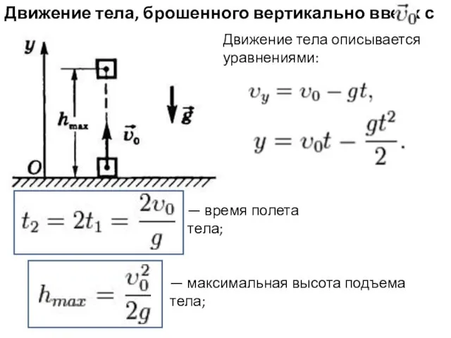 Движение тела, брошенного вертикально вверх с Движение тела описывается уравнениями: —