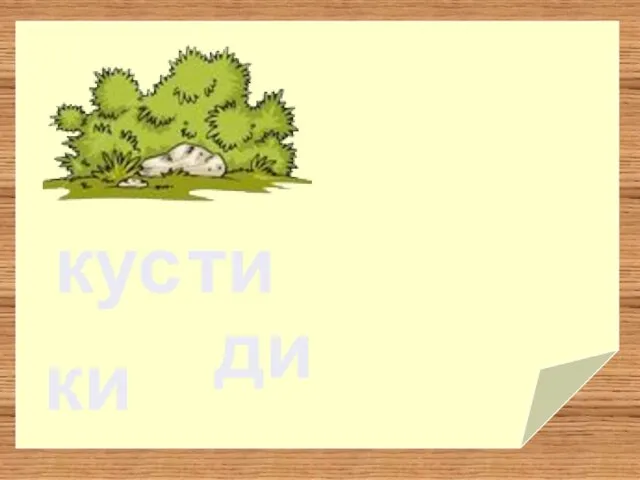 кус ти ки ди