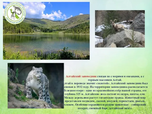 Алтайский заповедник связан не с морями и океанами, а с горным
